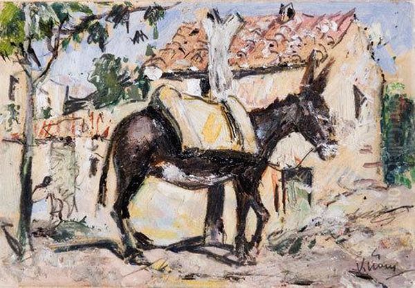 'asinello"" - view 1