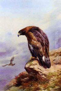 A Golden Eagle