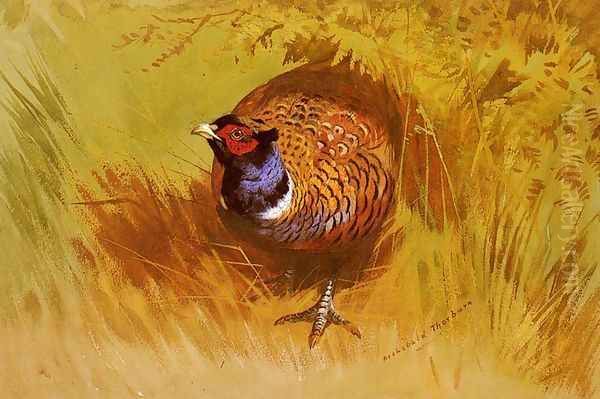 A Cock Pheasant - view 1