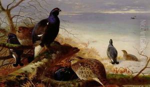 Blackgame, 1903 by Archibald Thorburn
