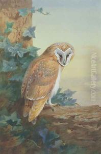Barn Owl, 1916 by Archibald Thorburn