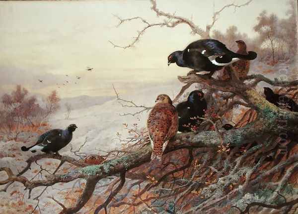 Blackgame in Winter - view 1