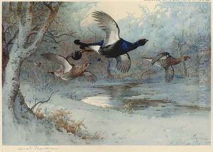 Blackcock Through the Silver Birches by Archibald Thorburn