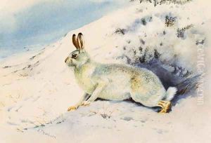 Hare by Archibald Thorburn