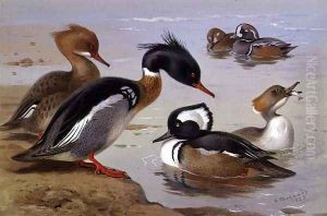 Ducks by a Lake by Archibald Thorburn