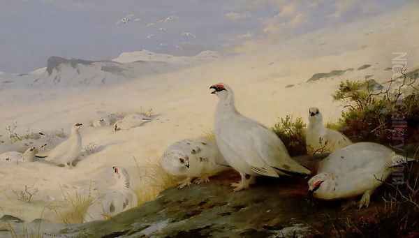 Ptarmigan, 1903 - view 1