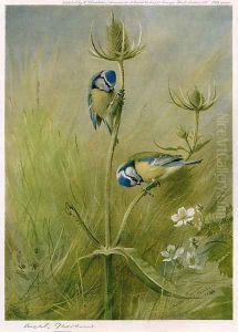 Blue Tits on Teasel by Archibald Thorburn