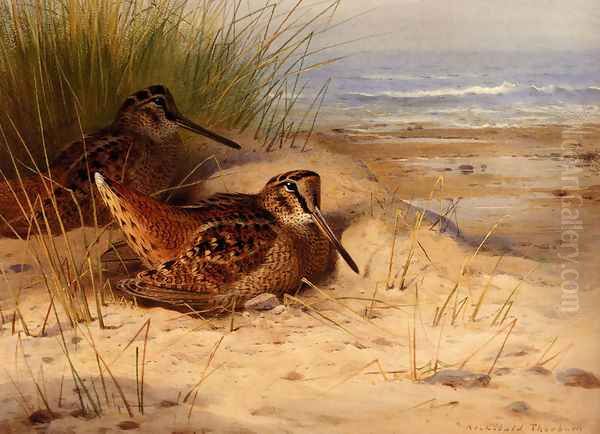 Woodcock Nesting On A Beach - view 1