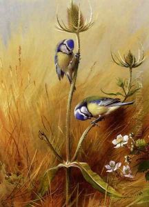Bluetits On A Teasel 2 by Archibald Thorburn