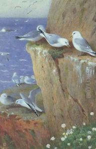 Seagulls by Archibald Thorburn