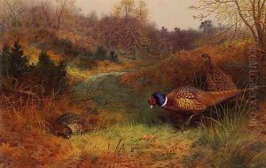 Autumn Sunshine by Archibald Thorburn