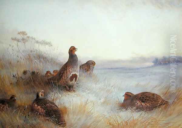 Partridges in Early Morning, 1910 - view 1