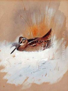 Woodcock in Snow, 1906