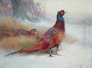 Old English Pheasant by Archibald Thorburn