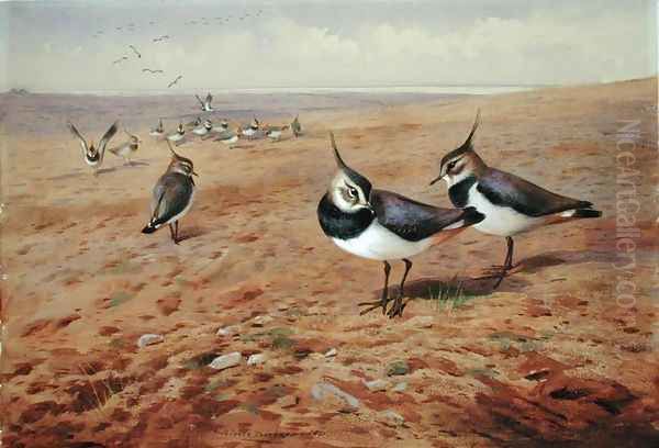 Lapwings on the Plough, 1901 - view 1