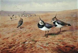 Lapwings on the Plough, 1901 by Archibald Thorburn