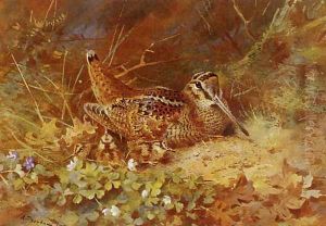 Woodcock and Chicks by Archibald Thorburn