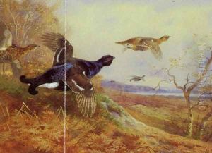 Blackgame in Flight by Archibald Thorburn