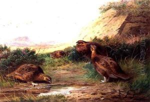 Grouse in a Landscape by Archibald Thorburn