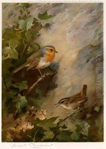 Robin and Wren Robin and Wren