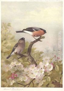 Cock and Hen Bullfinches by Archibald Thorburn