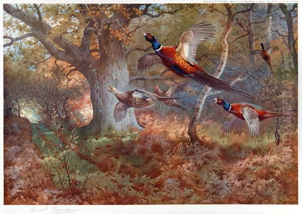 Pheasants Through the Oak Wood - view 1