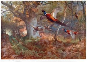 Pheasants Through the Oak Wood by Archibald Thorburn
