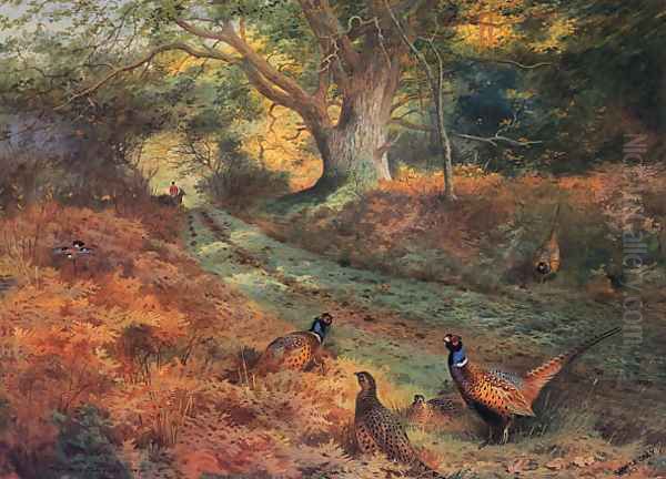 The Bridle Path - view 1