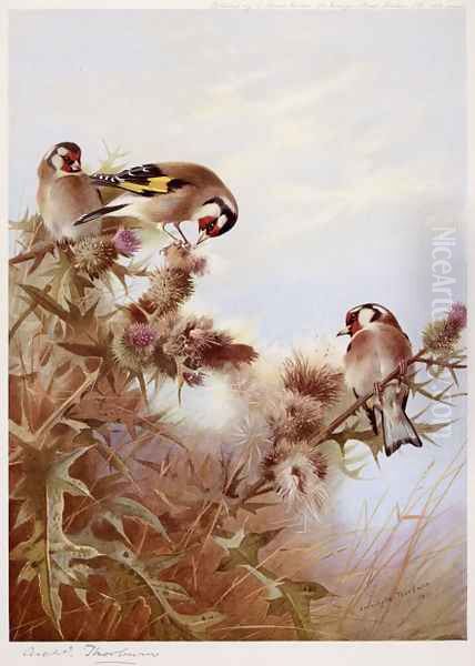 Goldfinches on Thistles - view 1