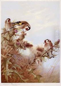 Goldfinches on Thistles by Archibald Thorburn