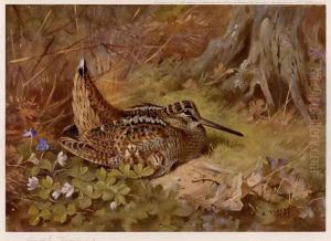 Woodcock and Dog Violets by Archibald Thorburn