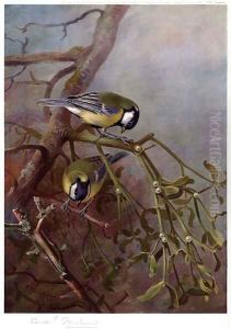 Great Tits and Mistletoe by Archibald Thorburn