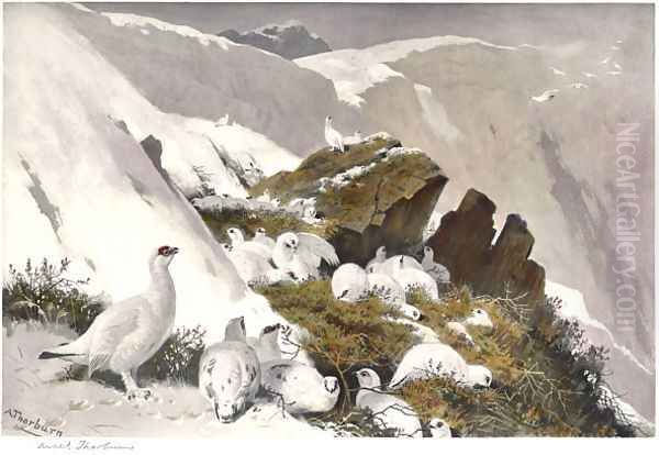 Ptarmigan on Snow Slip - view 1
