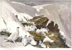 Ptarmigan on Snow Slip by Archibald Thorburn
