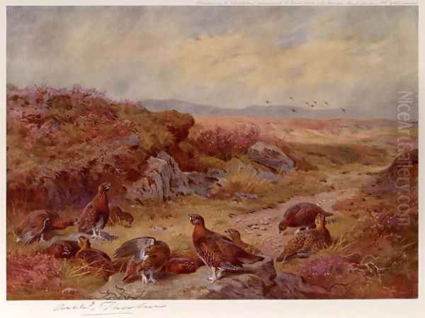 Grouse on the Peat Bogs - view 1