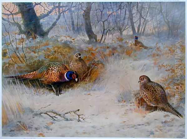 Frost in the Coverts - view 1