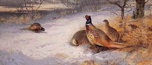 Pheasants in the Snow - view 1