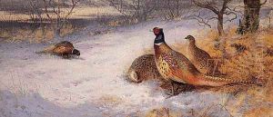 Pheasants in the Snow