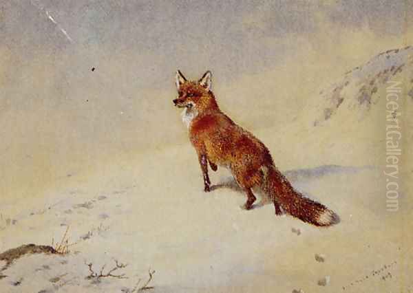Startled - view 1