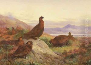 The Morning Call by Archibald Thorburn