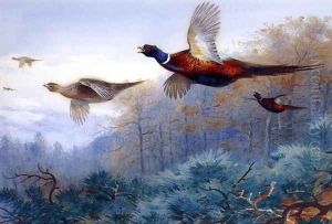Pheasants in Flight by Archibald Thorburn