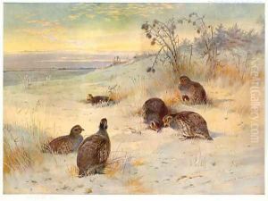 Close of a Winter's Day