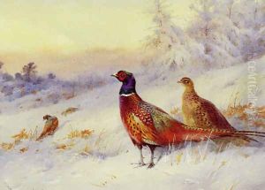 Frosty Sunrise by Archibald Thorburn