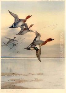 Wigeon Over the Estuary by Archibald Thorburn