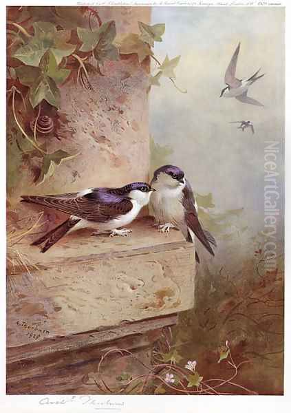 Housemartins - view 1