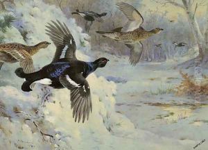 Through the Snowy Coverts by Archibald Thorburn