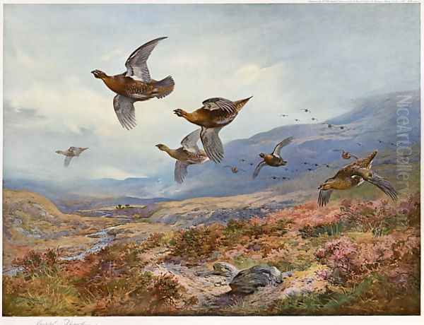 Grouse Over the Burn - view 1