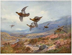 Grouse Over the Burn by Archibald Thorburn