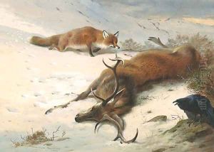 The Fox, the Raven and the dead Stag by Archibald Thorburn