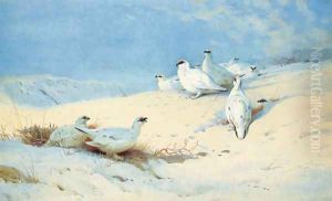 'In the rays of the morning sun' Ptarmigan in the snow by Archibald Thorburn